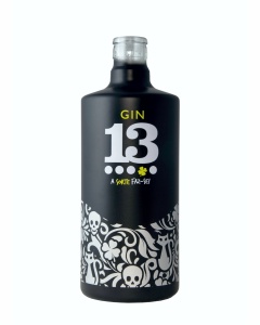 GIN 13